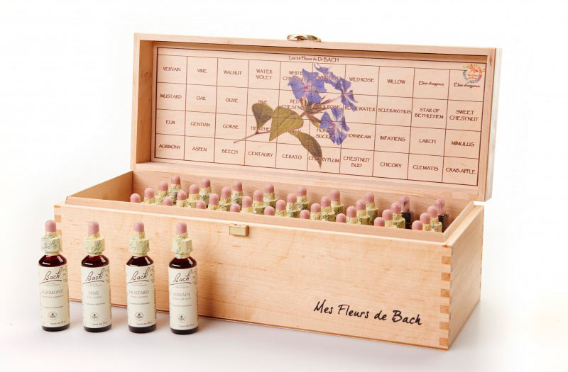 fleurs-de-bach-marie-pierre-auger-therapies-alternatives-frontignan